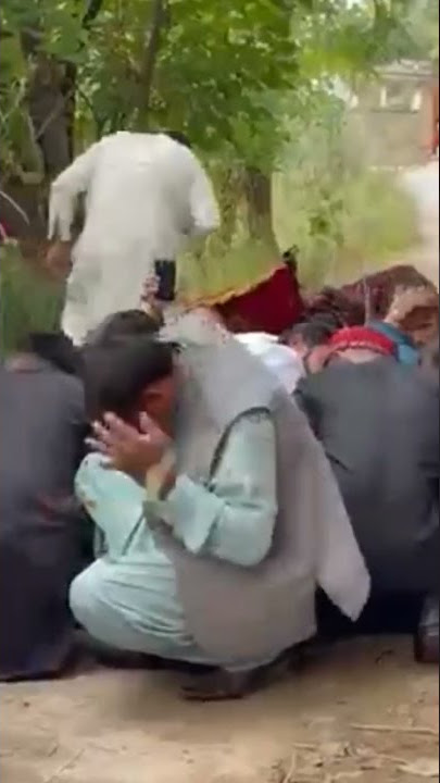 HONEY BHEES ATTACK ON BARAT