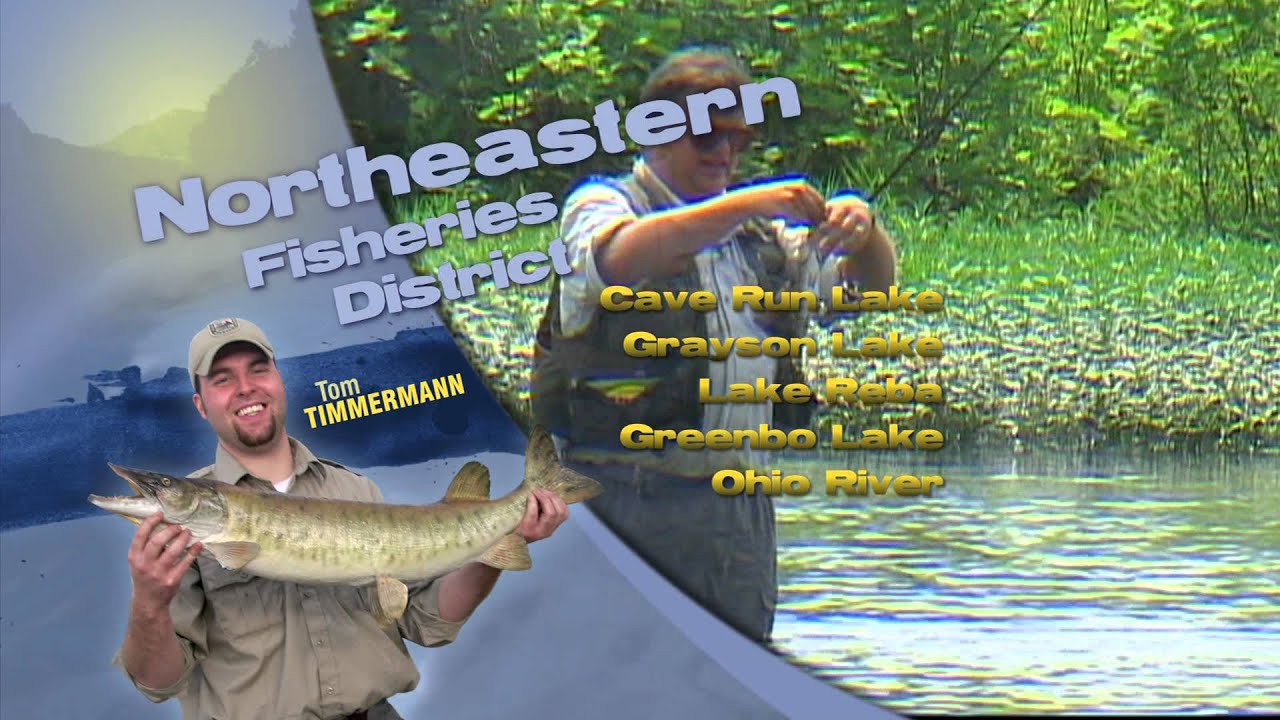 deer park high school Fishing Report for Mid September in Kentucky