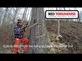 Episode #002: Proper tree felling technique & sawmill time