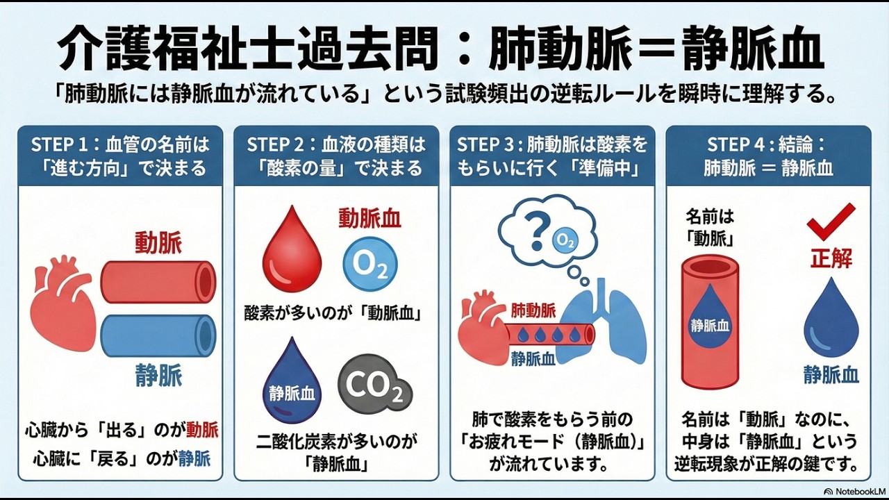 「肺動脈と静脈血の関係」もう迷わない！循環器系の「逆転ルール」を徹底解説【介護福祉士国家試験】