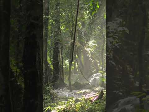 من فنون الرد المأمون ووالي الكوفة من قصص العرب