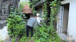 Por apenas US$ 4.500, o casal ficou surpreso com o valor de sua casa de 15 anos