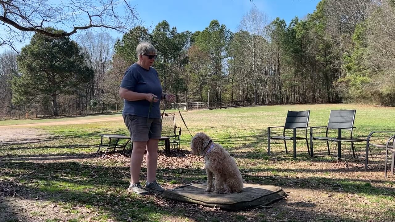 Chrissie - leash work + place intro