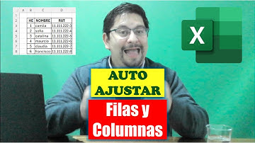 Autoajustar Filas y Columnas en la Hoja de Cálculo de Microsoft Excel. Tablas Amigables