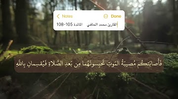 القارئ محمد الحافي || ماتيسر من سورة المائدة