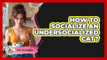 How To Socialize An Undersocialized Cat?