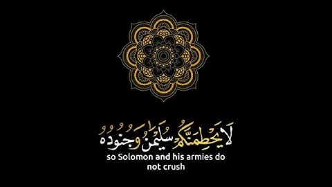 تلاوه هادئة تريح الا عصاب 💚القران الكريم💚      بصوت جميل جداً     القارئ عمر خالد الحسان