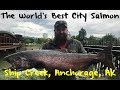 The World's Best City Chinook Fishing: Ship Creek, Anchorage, Alaska
