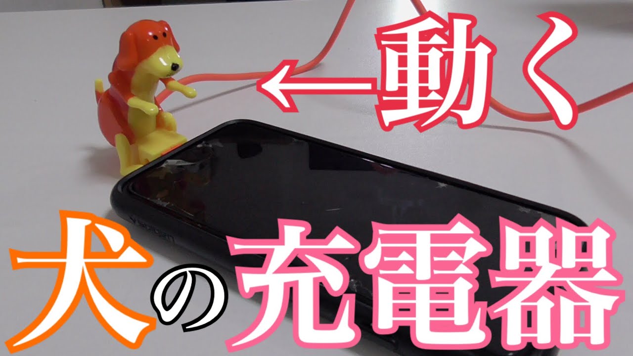 下ネタ 犬iphone充電器使ってみた Youtube