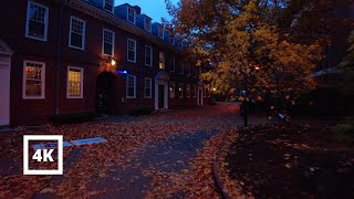 4K | Cozy Evening in the Fall at Harvard | ASMR City Sounds screenshot 5