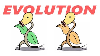 BELLSPROUT Evolution - Normal and Shiny, Pokemon Transformation Animation - Weepingbell, Victreebel