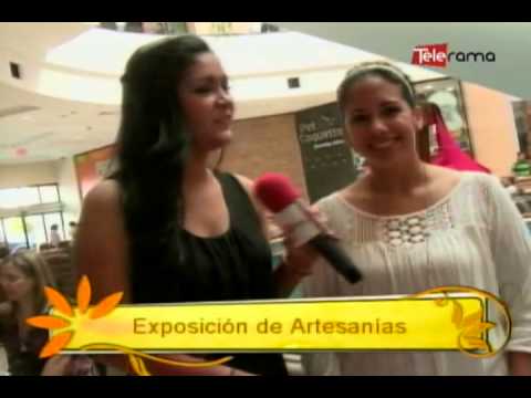 Exposición de Artesanías
