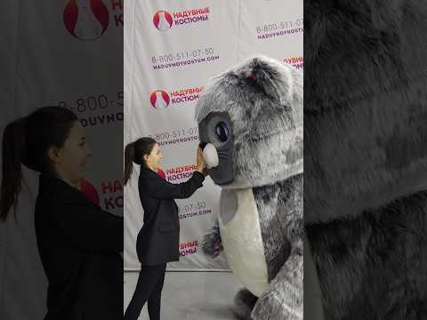 Мягкий и пушистый надувной костюм серый котик #котики #shorts