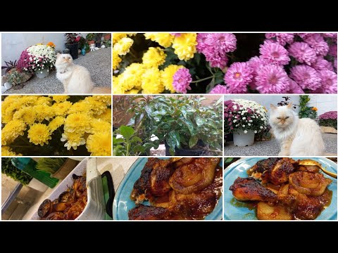 اوف اوف مسمعت كلام غدانه انفجارات تبسي دجاج مع سر الصلصة نصيحة وغده على الماشي