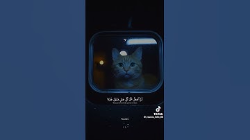 #احترام القران الكريم #اكسبلور #دويتو #اكسبلور #Mohamed Alla #