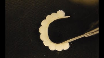 HARICOT - cheap and easy fabrication of hydrogel actuators