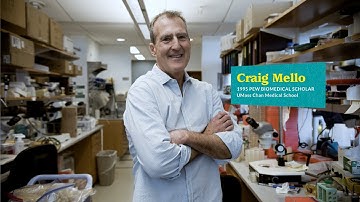 How RNAi Helps Us Fight Disease| Pew Scholar Craig Mello
