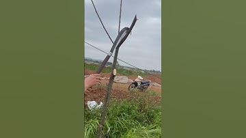 Tôi làm con dao quắm phát rẫy bằng thép ốc vít máy bay chặt cây như chặt chuối vậy