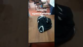 актив пропал