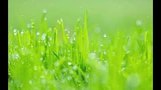 Hyehwadong (or Sangmundong) piano version - TikTok & Instagram Reels Sound