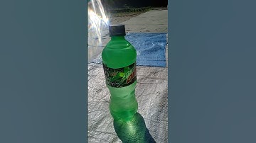 My 1st vlog #shots #vlog #cat #cow #bhoot #bhootbhoot #dog