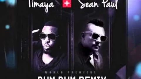 Timaya ft Sean Paul   Bum Bum Remix