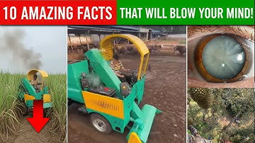 top amazing facts that blow your mind