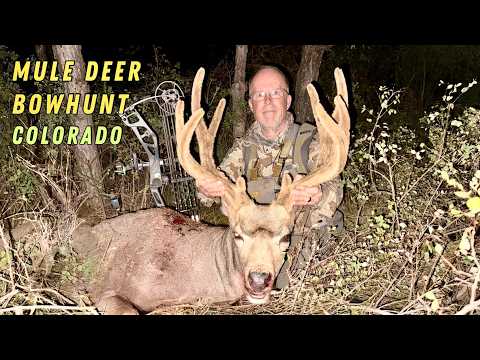 MULE DEER BOW HUNT, COLORADO: SEVR MAGNETO 1.75 #elitearchery #ravincrossbows