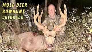 MULE DEER BOW HUNT, COLORADO: SEVR MAGNETO 1.75 #elitearchery #ravincrossbows