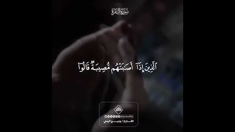 تلاوة تثلج الصدر للقارئ وديع اليمني quran