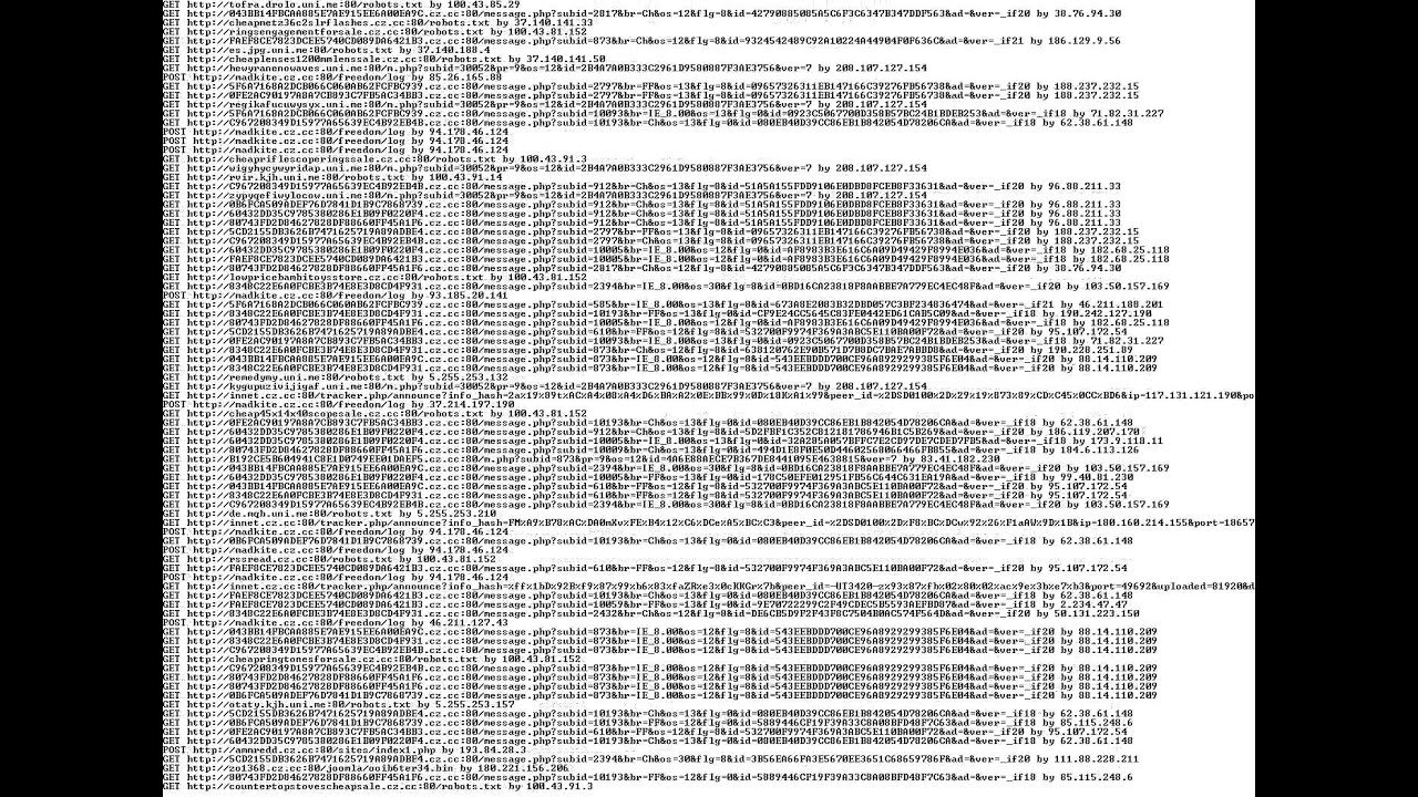 404 Traffic on cz.cc