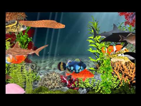 3d free cartoon model hand Oceanlife, underwater Sealife 3D YouTube 3D animals models, 3d free cartoon model hand Oceanlife, underwater Sealife 3D YouTube 3D animals models,