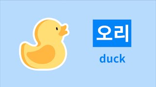 100 Basic Korean Words for Beginners With Pictures (Nouns A~M)
