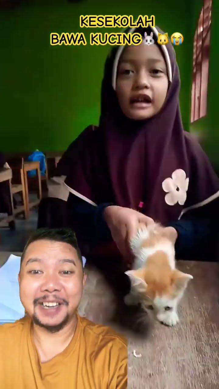 KESEKOLAH KOK BAWA KUCING DEK!!!??? #kucinglucu #cat #catlover #kucingimut #shortsfeed #comedy
