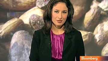 Global Problems, Local Solutions: The Modern Chocolate Market