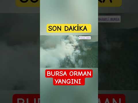 🎯Son Dakika Bursa