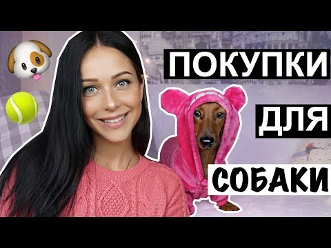 ПОКУПКИ ДЛЯ СОБАКИ | ОДЕЖДА И ИГРУШКИ ДЛЯ МОЕЙ СОБАКИ