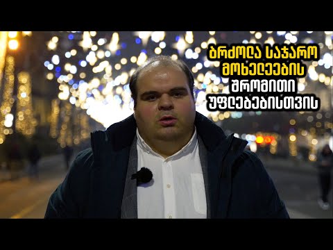 ბრძოლა საჯარო მოხელეების შრომითი უფლებებისთვის