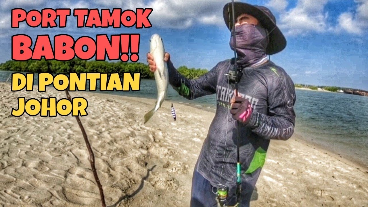 LESEN TAMOK BABON DI PORT PADU