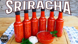 How Sriracha Hot Sauce is made | Homemade recipe | Fermented Hot sauce recipe | How to make |