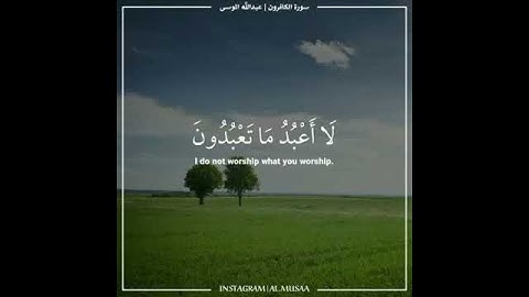 سورة الكافرون -عبدالله الموسى-🌿