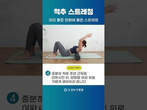 ❗❕허리 통증 완화에 좋은 I 척추 스트레칭