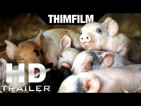 UNSERE GROSSE KLEINE FARM Trailer (OmU) | Ab 12. Juli im Kino!