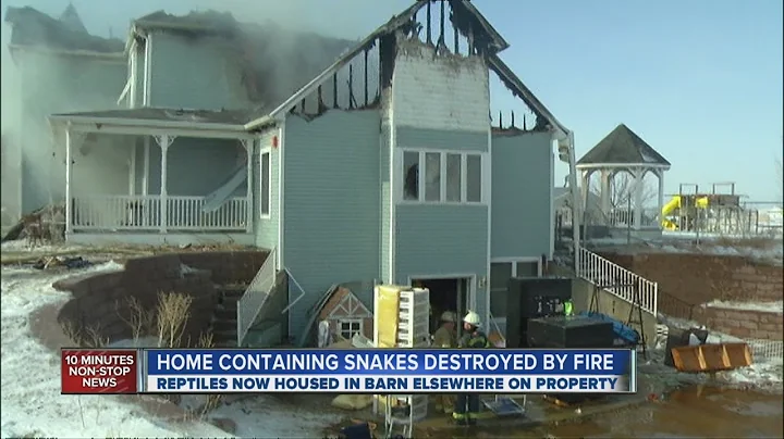 Snakes, family displaced by house fire