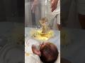 世界でいちばんかわいい子猫☺️