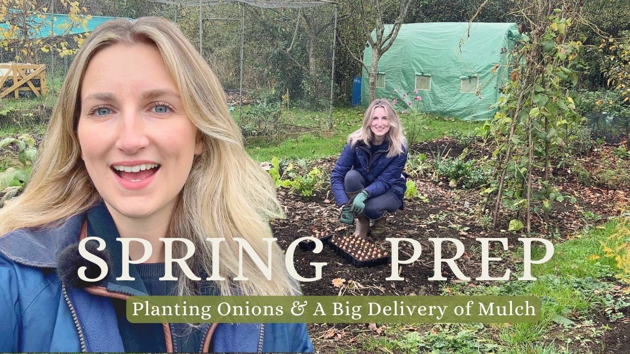 SPRING PREPARATION AT THE ALLOTMENT & Roasting my home grown squash  🍂🌿 VLOG #26