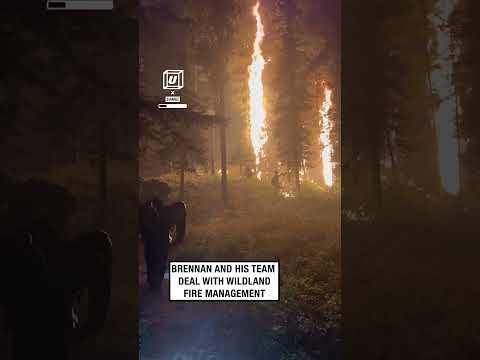 These forest firefighters