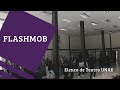 Flashmob (Registro)