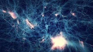 Bone N Skin - Brain Stuff