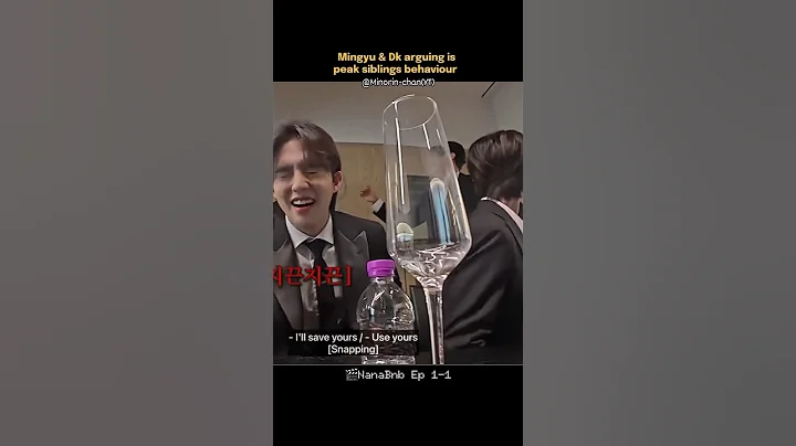 97z arguing is comedic😭SCoups looks like a tired father😆|| svt nana bnb carat comfort🎀✨️ #seventeen